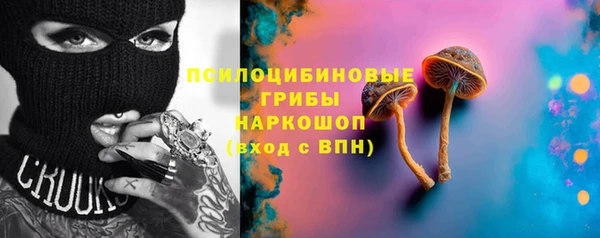 спайс Гусь-Хрустальный