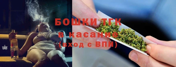 стаф Дмитровск