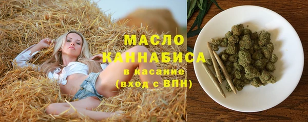 спайс Гусь-Хрустальный