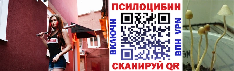 Галлюциногенные грибы мицелий  Купить  Ликино-Дулёво 